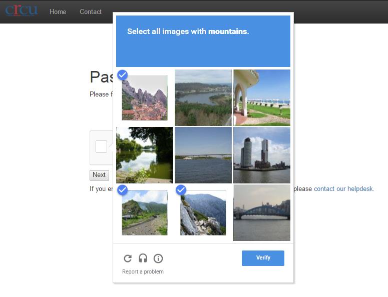 Recaptcha Challenge Page